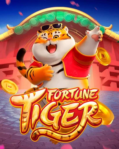 6z bet